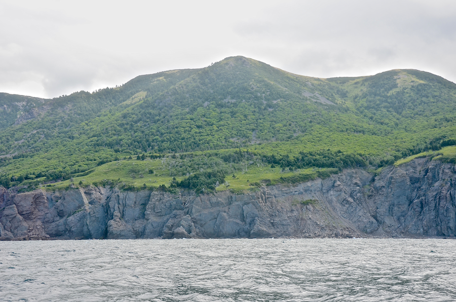 The northern arm of “Wreck Brook Mountain”