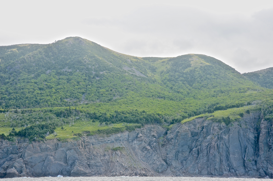 The valley between the northern and southern arms of “Wreck Brook Mountain”
