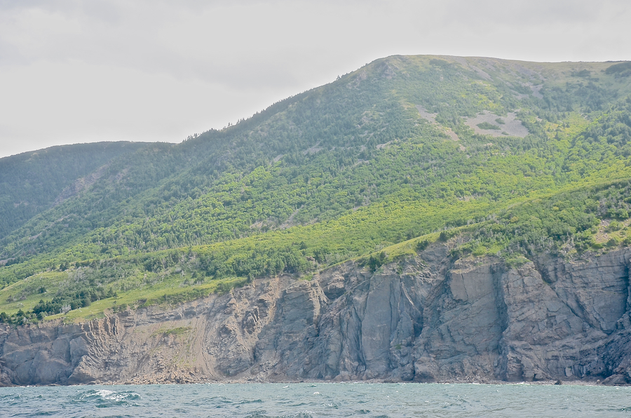 The northern arm of “Wreck Brook Mountain”