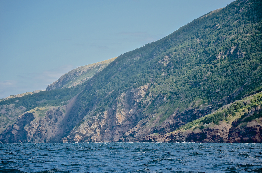 “Malcolms Brook Mountain” and the coast below
