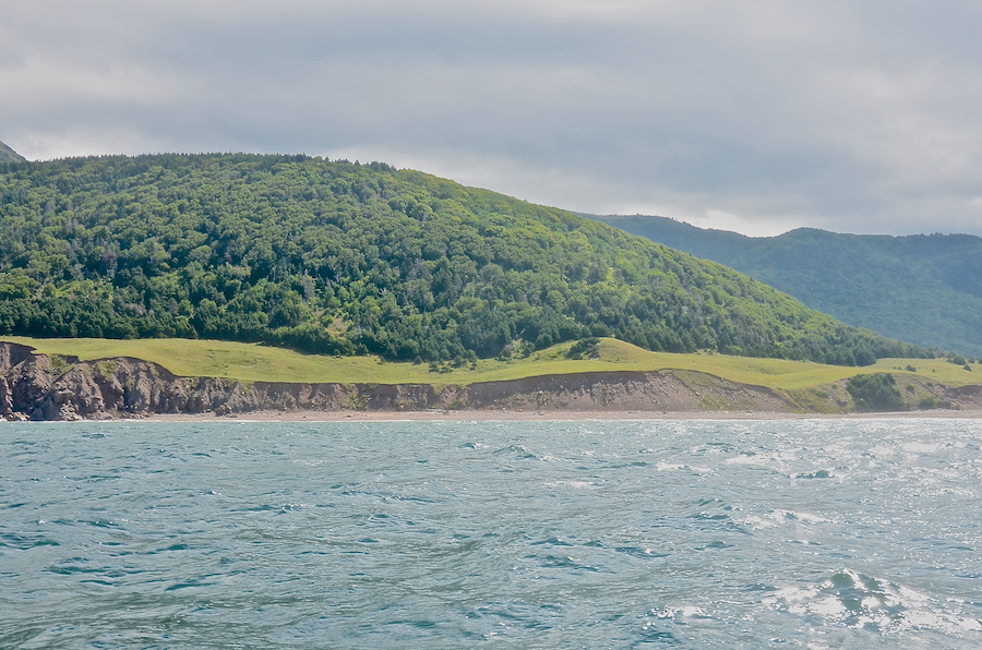 Polletts Cove Beach below “South Foothill”