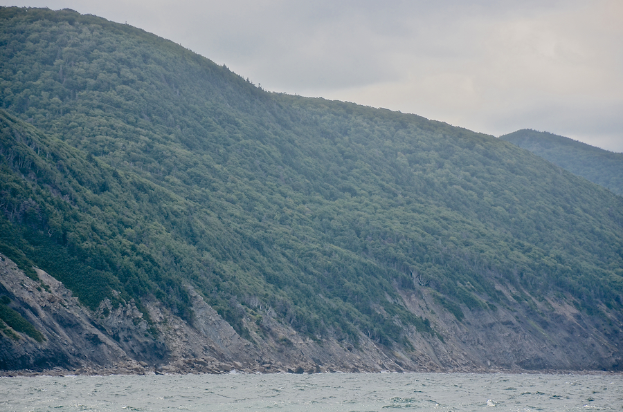 The coast between Polletts Cove and Otter Brook