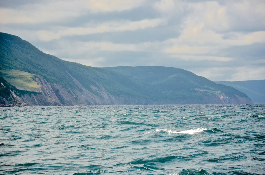 The coast from the mouth of Otter Brook to Kerrs Point