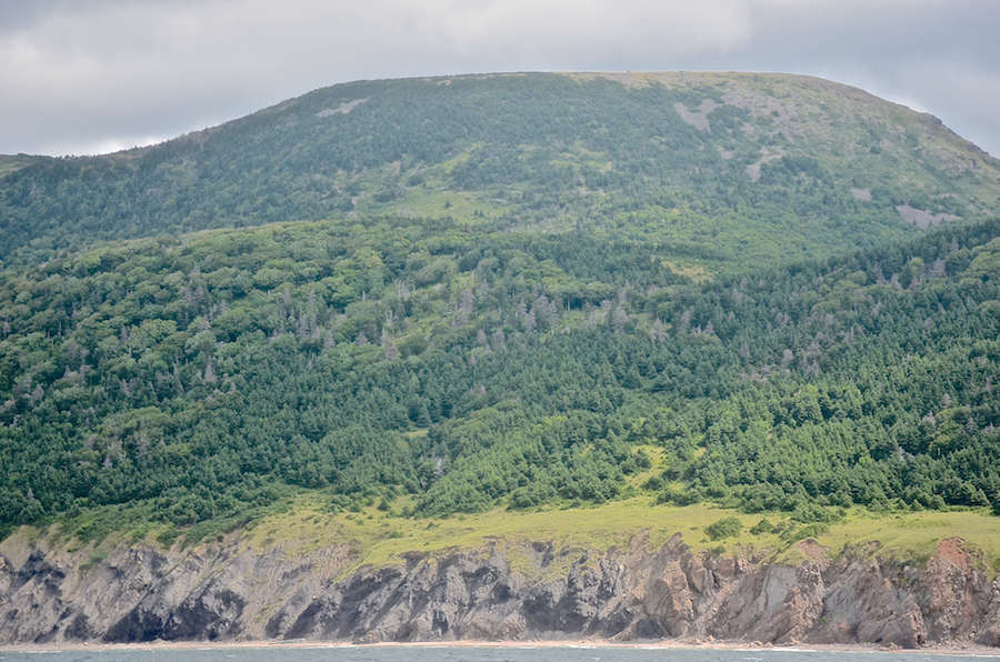 The coast below the foothills