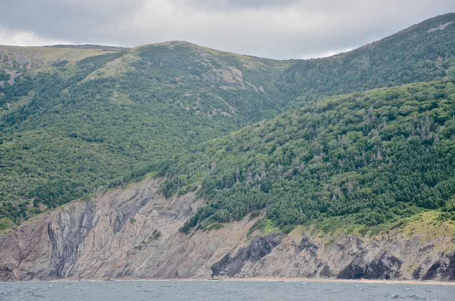 Looking across “North Foothill” to the col between “Wreck Brook Mountain” and Polletts Cove Mountain
