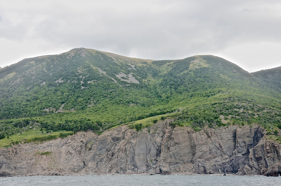 “Wreck Brook Mountain” and its coast