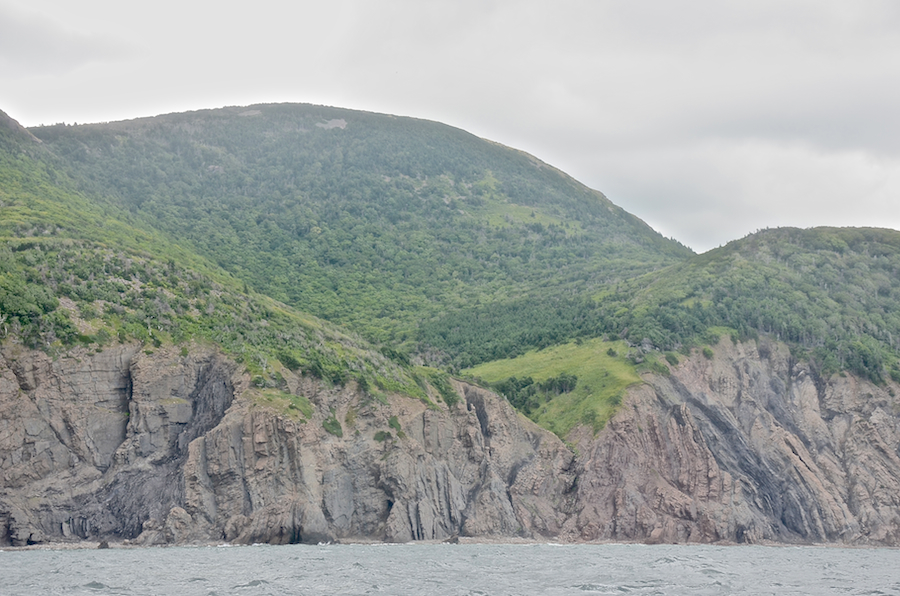 The mouth of the unnamed brook