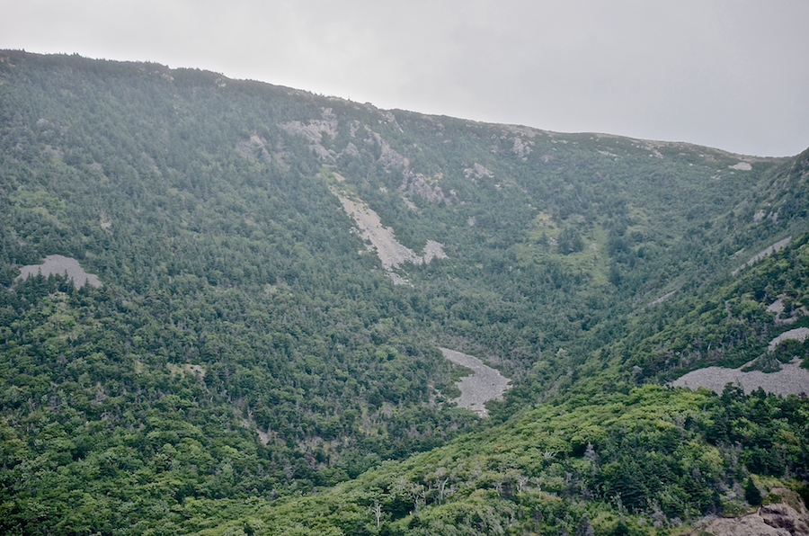 The upper portion of the Wreck Brook valley