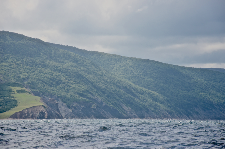 The coast at and south of Polletts Cove