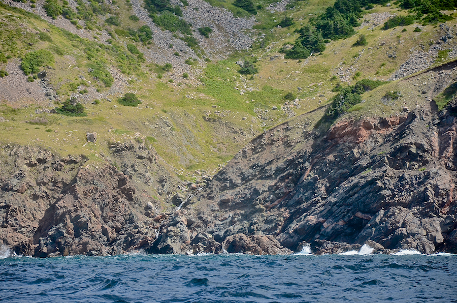 The mouth of Malcolms Brook