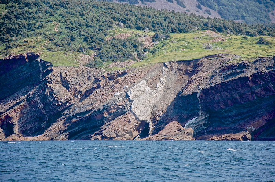 The white rock