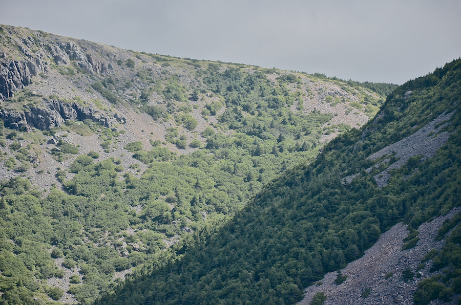 The right portion of the great ridge
