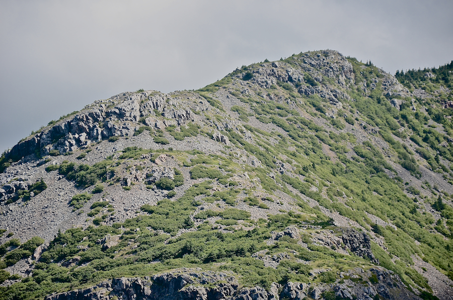 The twin peaks of “Between-the-Delaneys Mountain” from further south