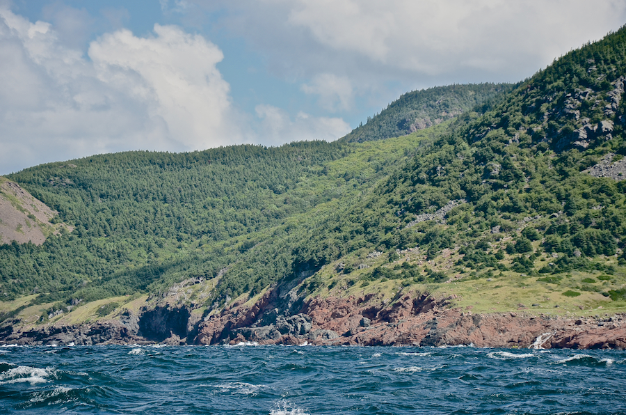 The coast below “Sailor Brook Mountain North”