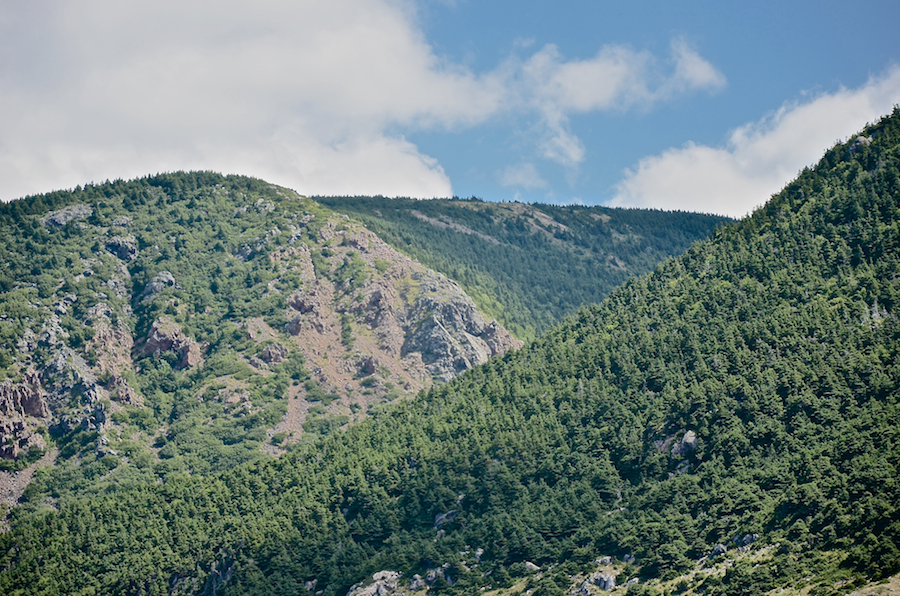 The ridge on the east side of “Sailor Brook Mountain North”