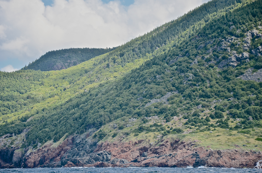 The coastal plain just north of the mouth of Sailor Brook