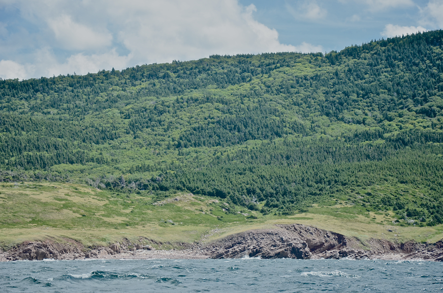 The coastal plain at Lowland Cove, part 2