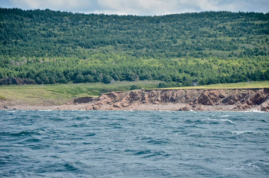 The coast south of the mouth of French Brook, part 1