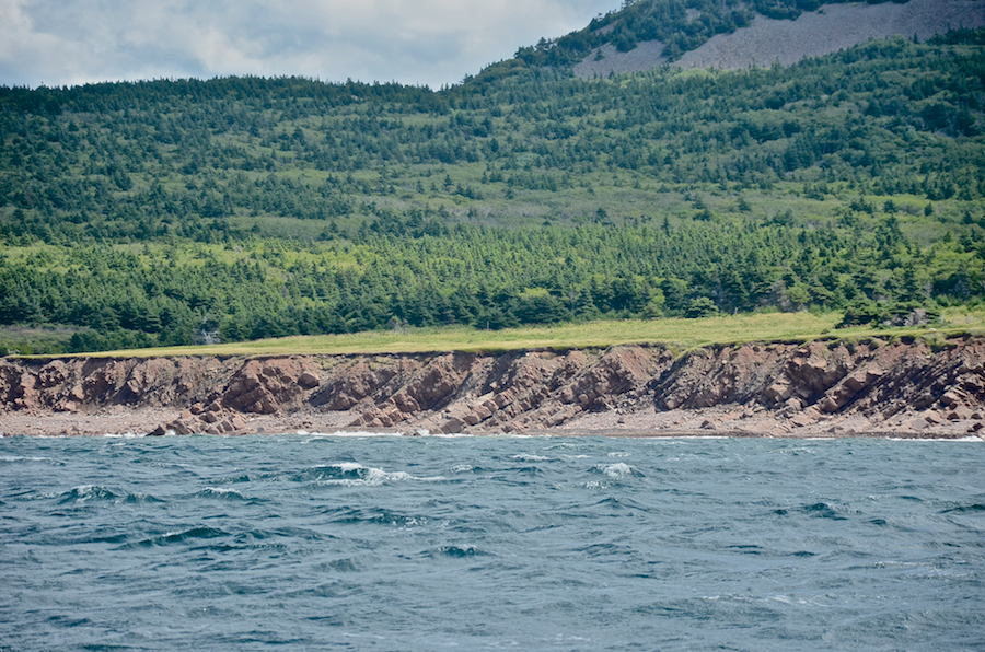 The coast south of the mouth of French Brook, part 2