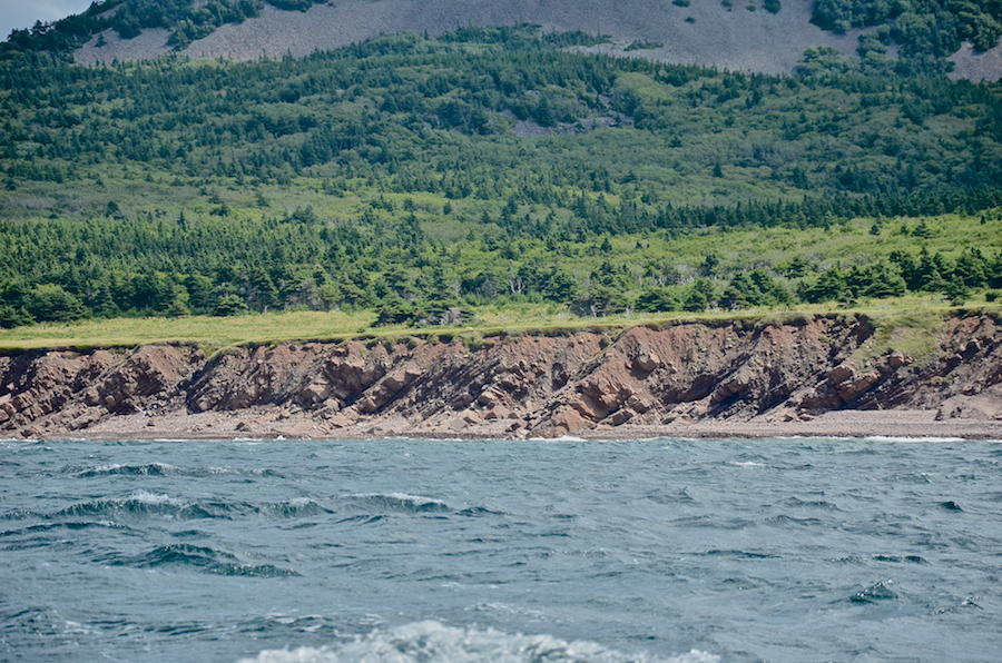 The coast south of the mouth of French Brook, part 3