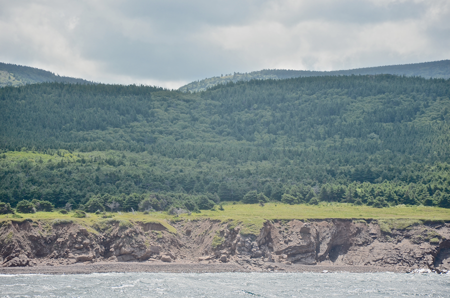 The coast south of the mouth of French Brook, part 4