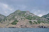 “Between-the-Delaneys Mountain”