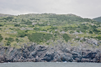 The summit of “Delaneys Hill” from below
