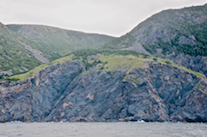 The coast just south of Malcolms Brook