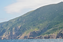 The coast at Fort Cove