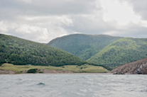 Polletts Cove from due west
