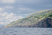 The coast from Delaneys Point to south of Malcolms Brook