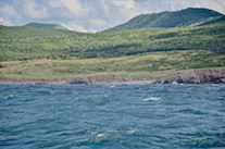 The Highlands inland from Lowland Cove