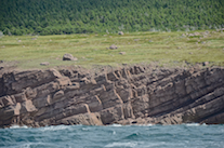 The coast south of “Fox Den Point”, part 4