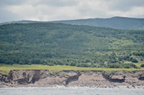 The coast south of the mouth of French Brook, part 5