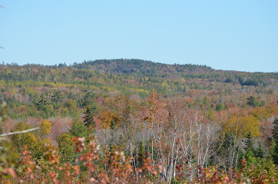Looking towards the “Rosedale Ridge” from Glencoe Mills