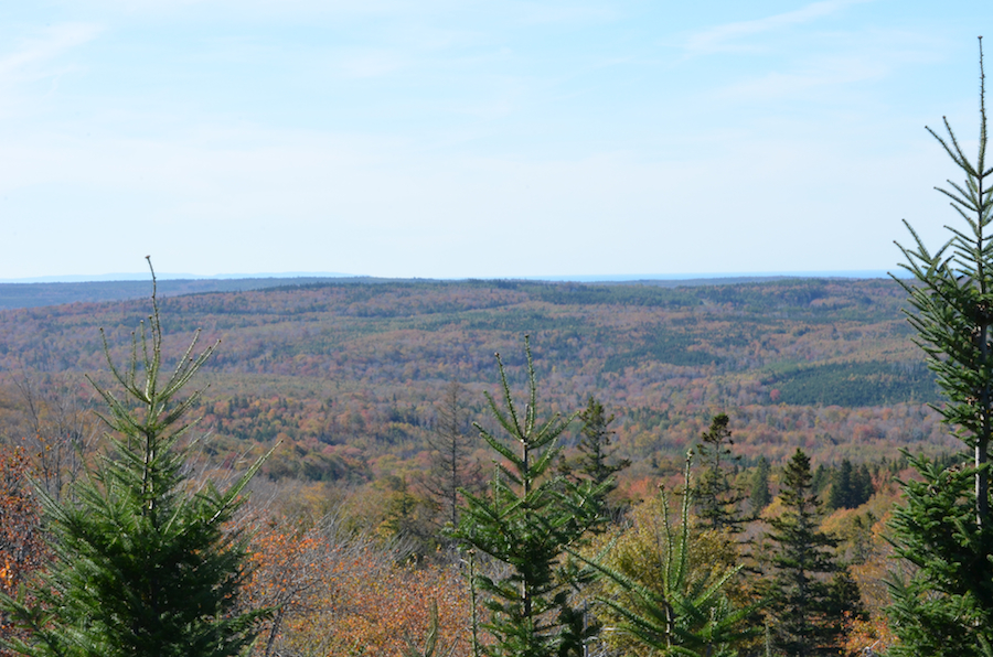 Part 2 of the Panorama