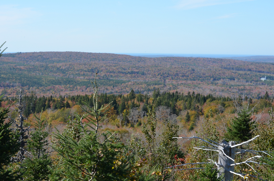 Part 4 of the Panorama
