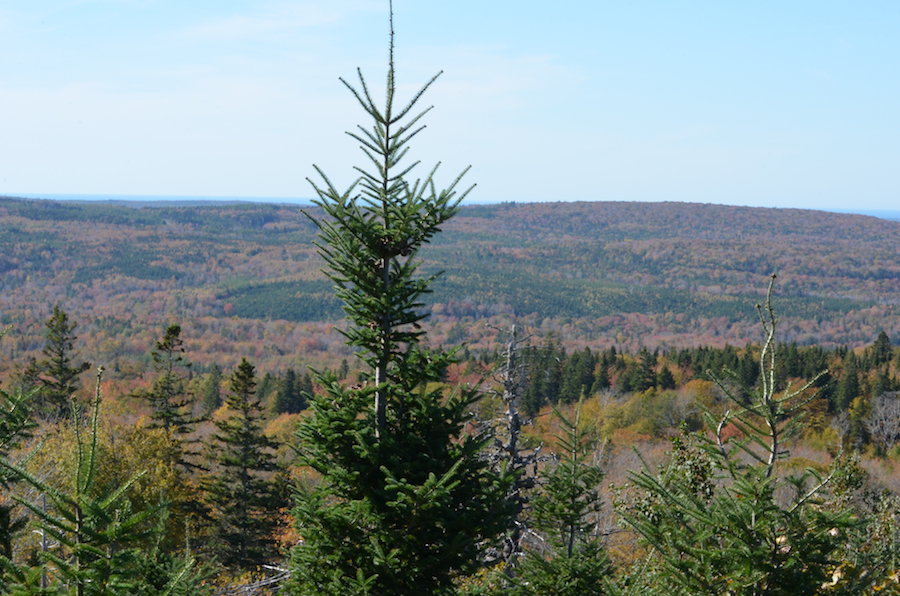Part 3 of the Panorama