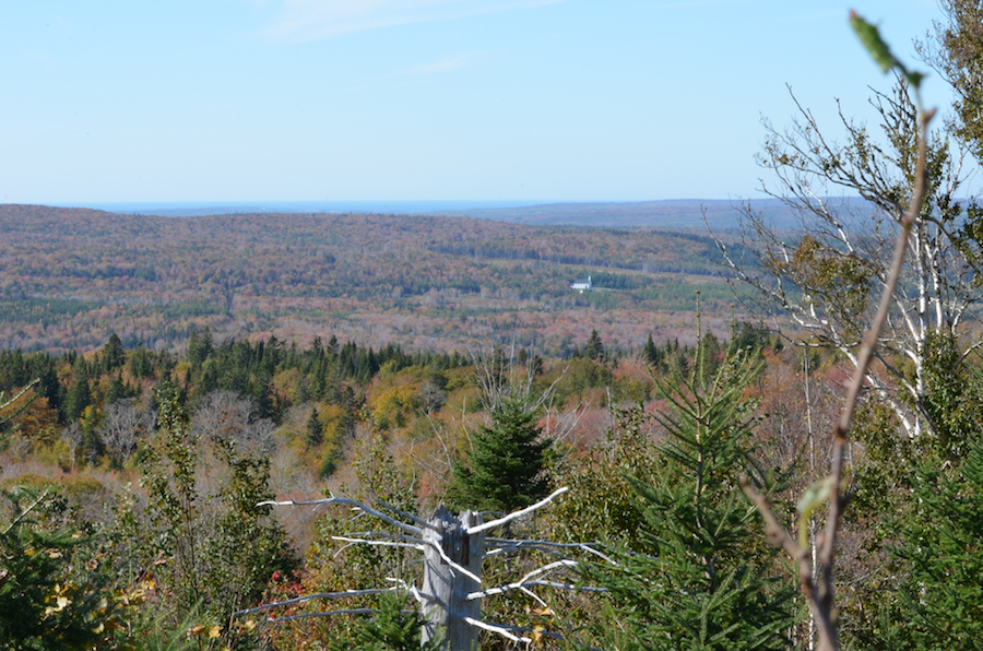 Part 5 of the Panorama