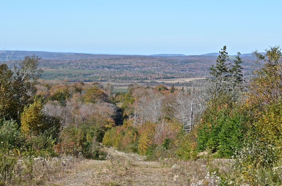 Looking down Churchview Road