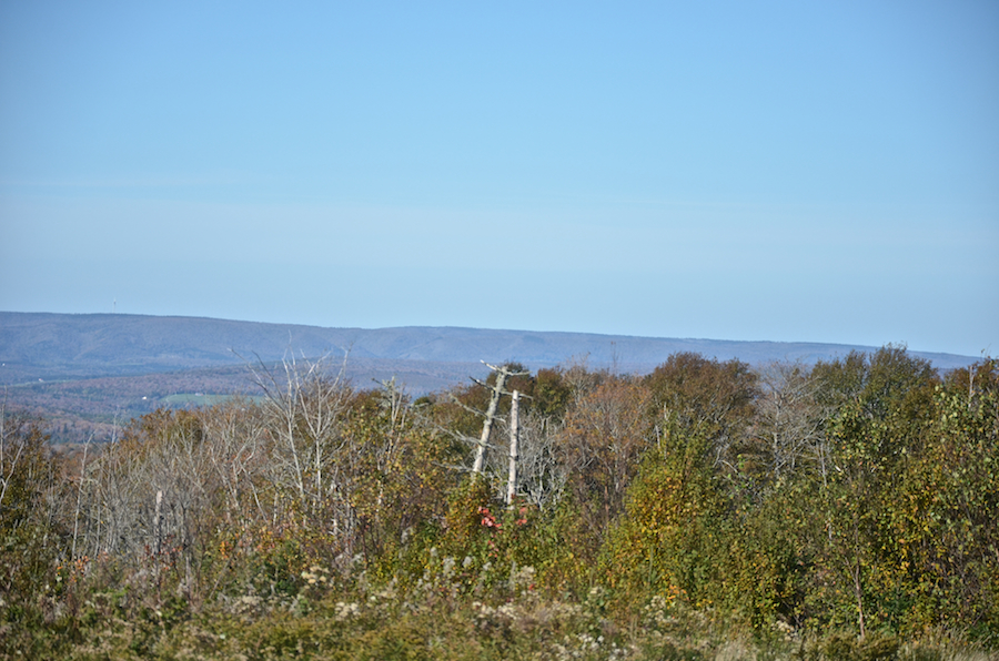 Cape Mabou from the Churchview Road summit