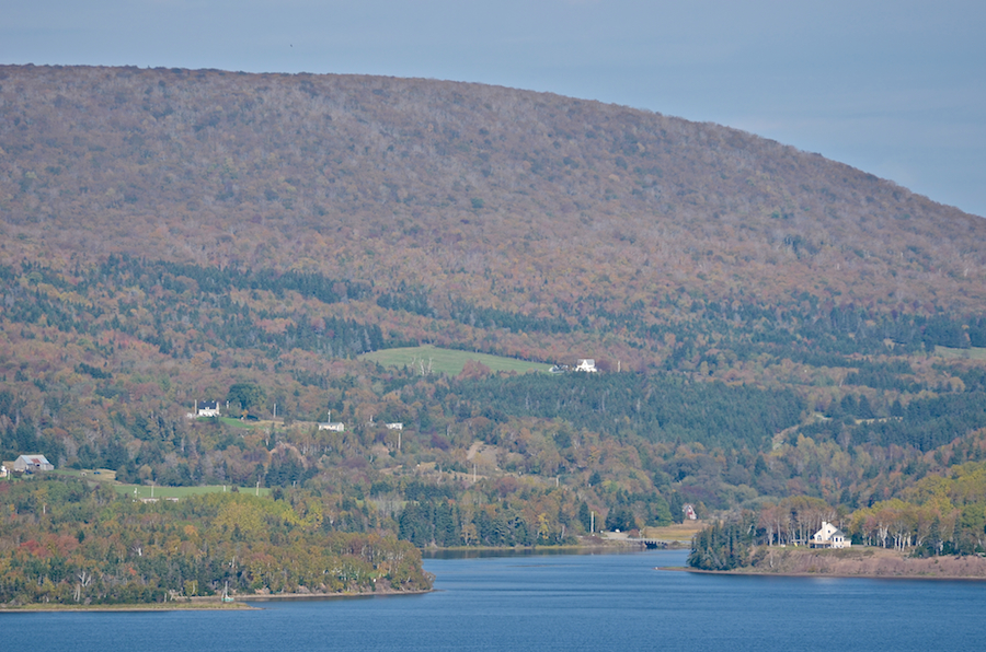 Northeast Cove from Hunters Road