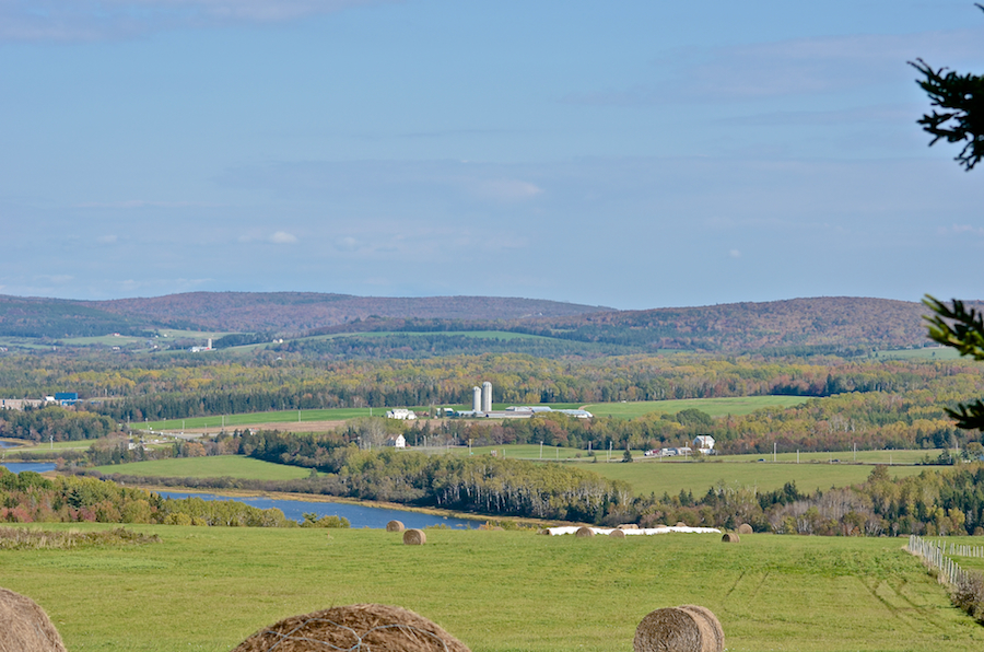 East of northeast view from Hunters Road