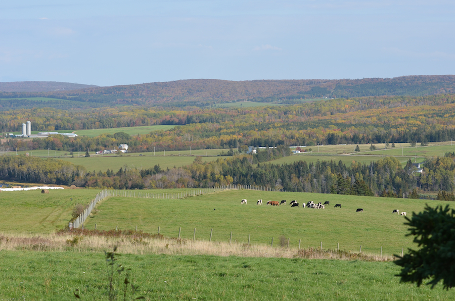 Eastern view from Hunters Road