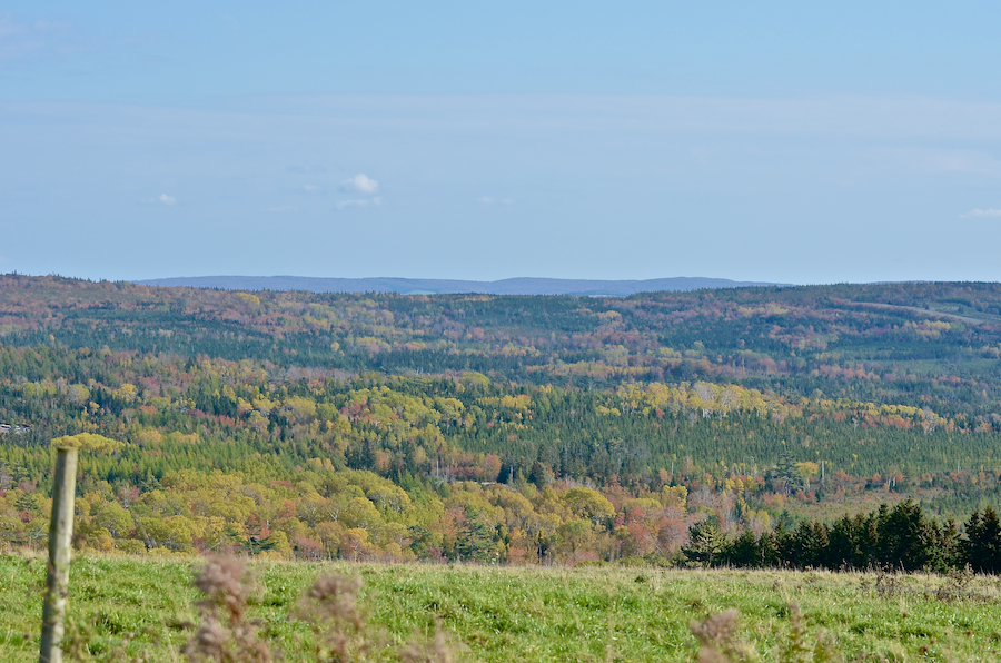 The Far Hills from Hunters Road