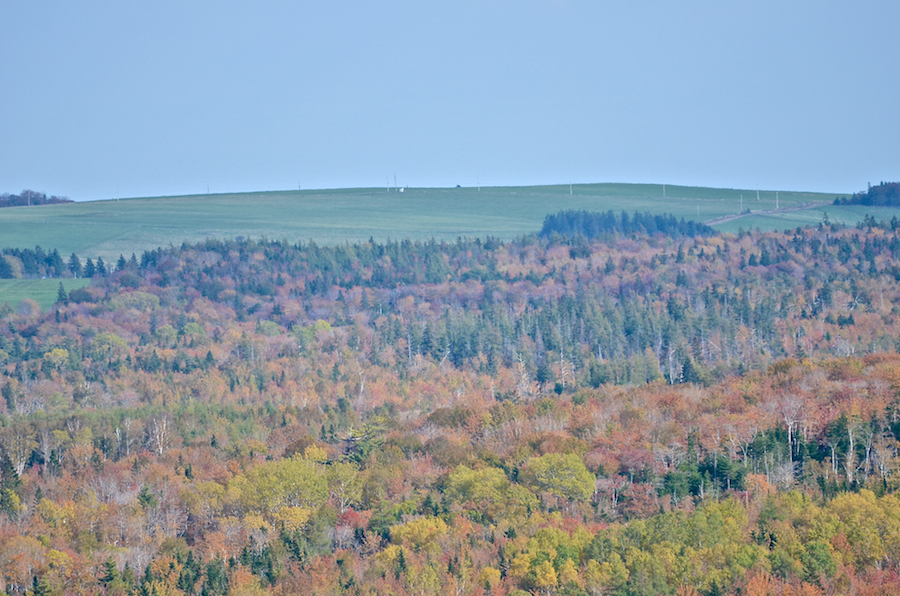 Southwest Ridge (Mabou Ridge) from Hunters Road