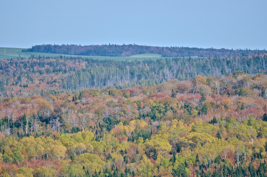 Southwest Ridge (Mabou Ridge) from Hunters Road