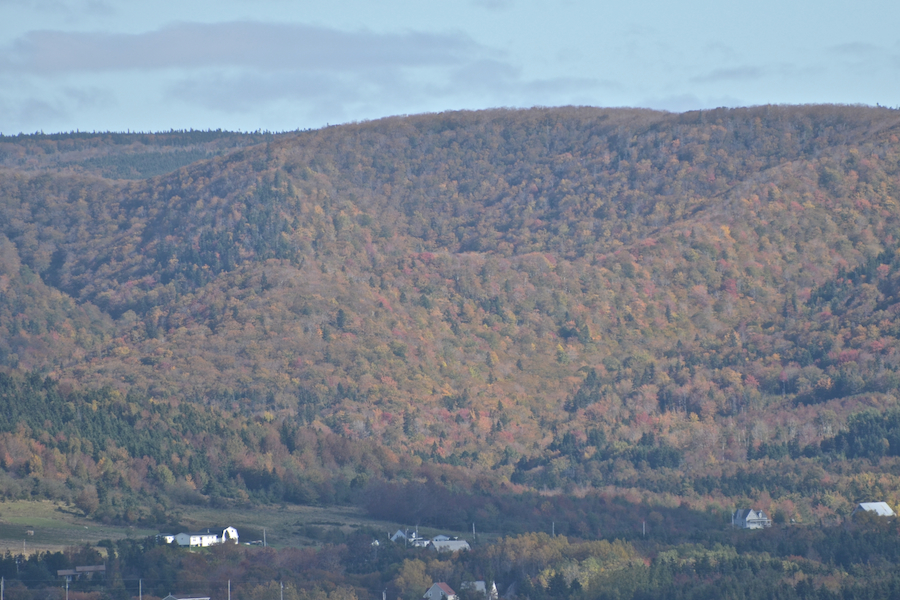 The folds of the southern Cape Mabou Highlands