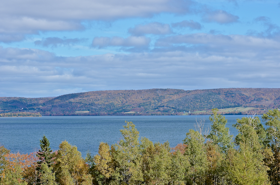 The eastern shore of Lake Ainslie from Mason Point