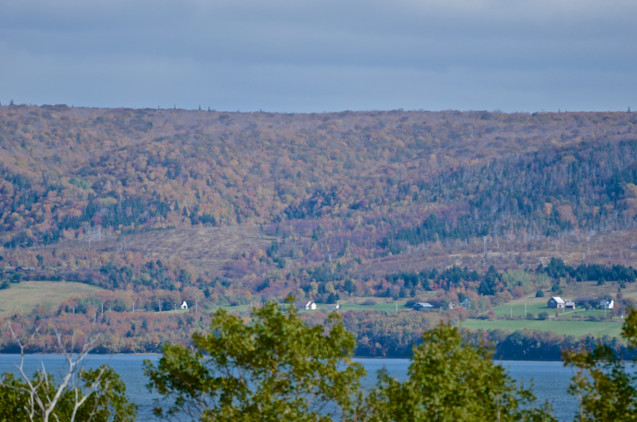 Detail of the eastern shore of Lake Ainslie from Mason Point
